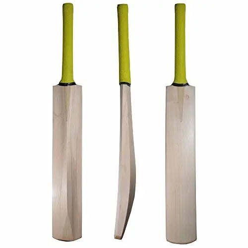 Starter Cricket Bat for Junior Players