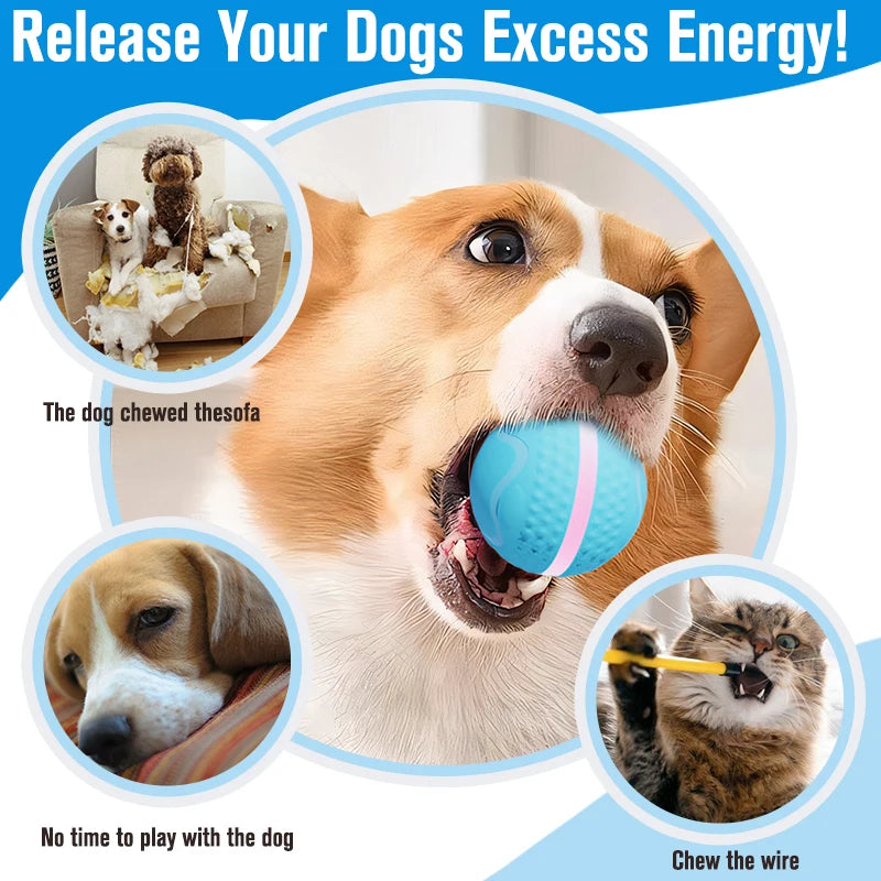 Rechargeable Interactive Dog Ball Electric Pet Toy Ball Cat Dog Chew Training Ball Smart Moving Bouncing Rolling Magic Ball