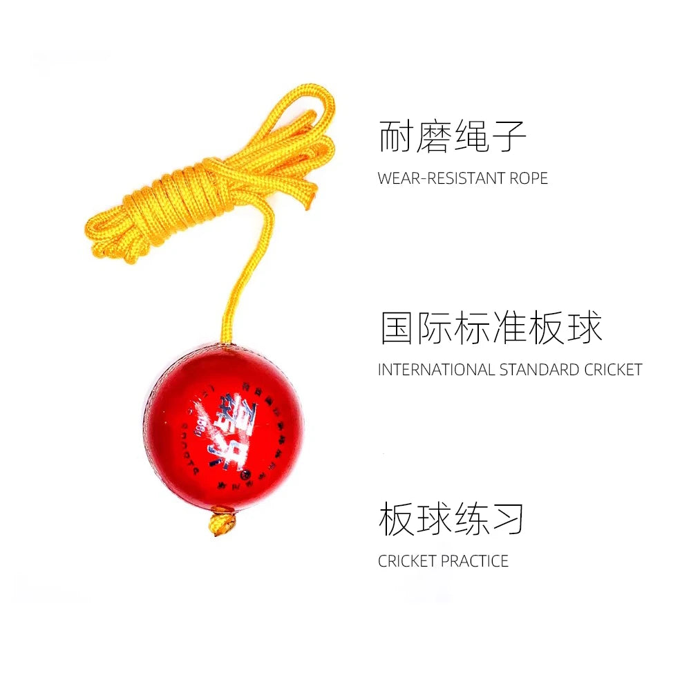 Cricket Hanging Ball for Bat Knocking And Practice With Reaction String  Synthetic Cricket Ball Leather Hanging Practice Cricket