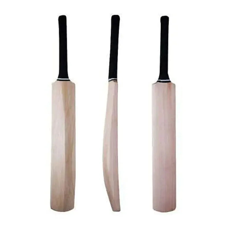 Starter Cricket Bat for Junior Players