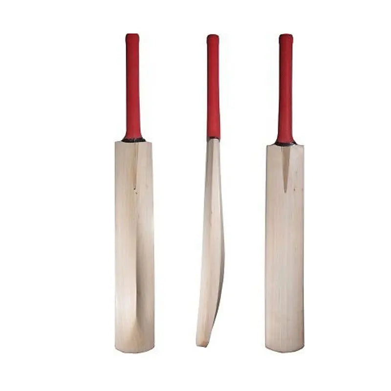 Starter Cricket Bat for Junior Players