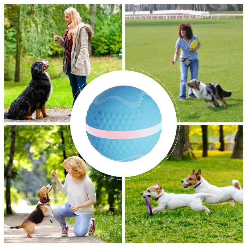 Wicked Ball Interactive Dog Toy Led Lights Interactive Dog Toy Sturdy And Durable Automatic Rolling Ball Self Bouncing Ball